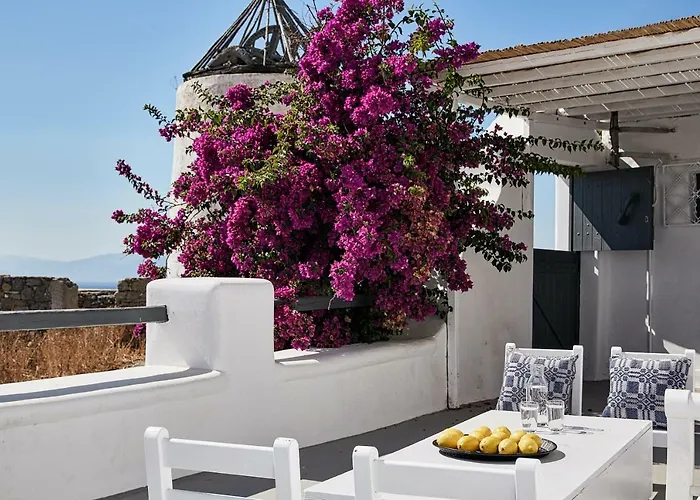 Bo By Monocle Daire *